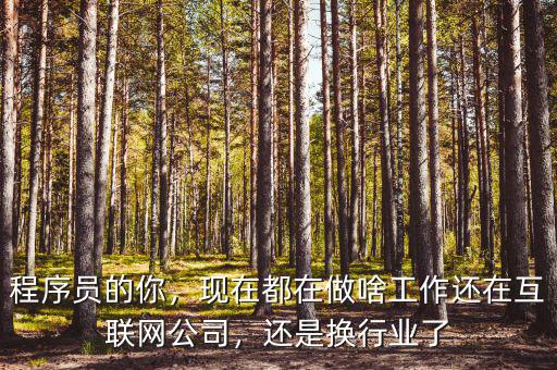 程序員的你，現(xiàn)在都在做啥工作還在互聯(lián)網(wǎng)公司，還是換行業(yè)了
