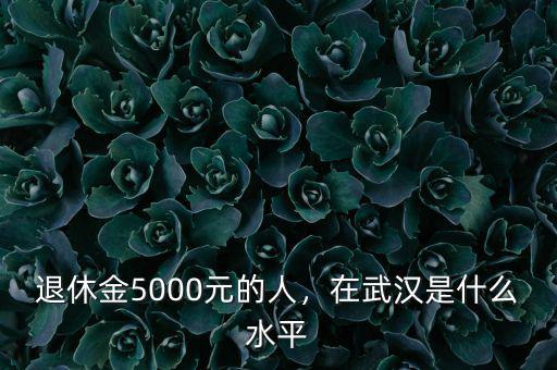 退休金5000元的人，在武漢是什么水平