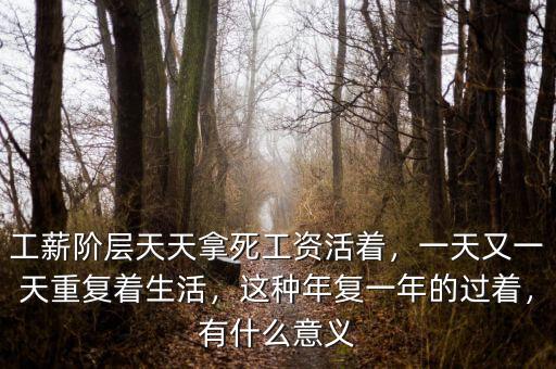 工薪階層天天拿死工資活著，一天又一天重復(fù)著生活，這種年復(fù)一年的過著，有什么意義