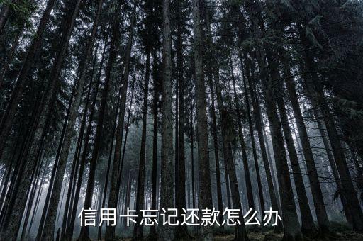 信用卡忘了還款怎么辦,信用卡到還款時(shí)間忘記還款