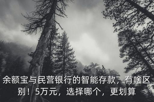余額寶與民營銀行的智能存款，有啥區(qū)別！5萬元，選擇哪個，更劃算