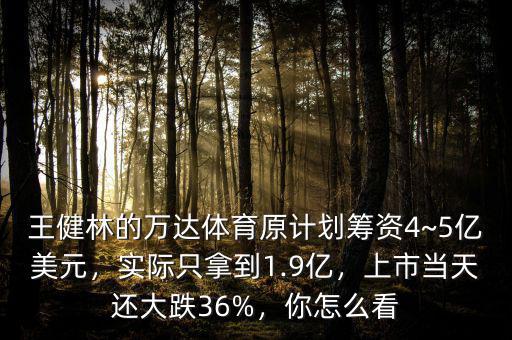 王健林的萬達體育原計劃籌資4~5億美元，實際只拿到1.9億，上市當(dāng)天還大跌36%，你怎么看
