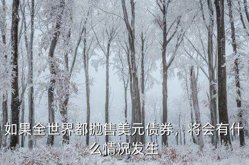 如果全世界都拋售美元債券，將會(huì)有什么情況發(fā)生