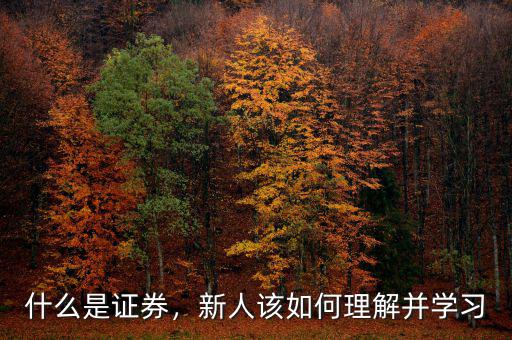 什么是證券，新人該如何理解并學(xué)習(xí)