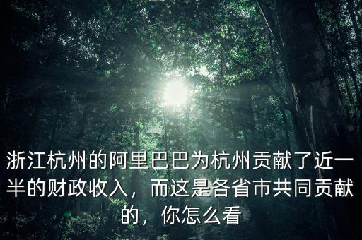 浙江杭州的阿里巴巴為杭州貢獻了近一半的財政收入，而這是各省市共同貢獻的，你怎么看