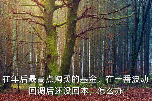 在年后最高點(diǎn)購(gòu)買(mǎi)的基金，在一番波動(dòng)回調(diào)后還沒(méi)回本，怎么辦