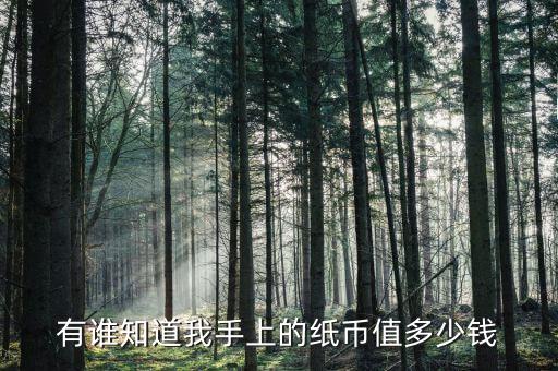 航空紙幣值多少人民幣,誰(shuí)知道現(xiàn)在這些紙幣值多少錢(qián)