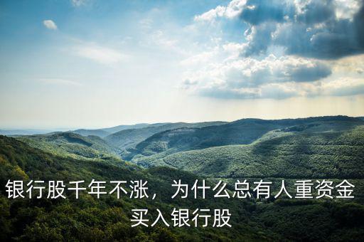銀行股千年不漲，為什么總有人重資金買入銀行股