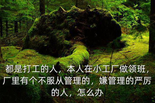 都是打工的人，本人在小工廠做領(lǐng)班，廠里有個不服從管理的，嫌管理的嚴(yán)厲的人，怎么辦