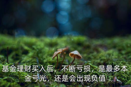 基金理財(cái)買(mǎi)入后，不斷虧損，是最多本金虧光，還是會(huì)出現(xiàn)負(fù)值