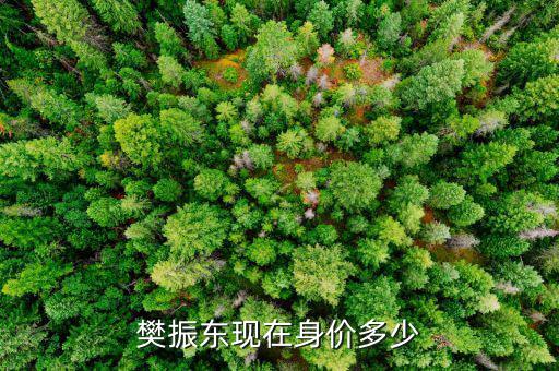 紀(jì)學(xué)鋒身價多少,陳夢現(xiàn)在身價多少