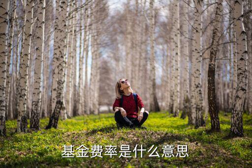 基金費(fèi)率是什么意思