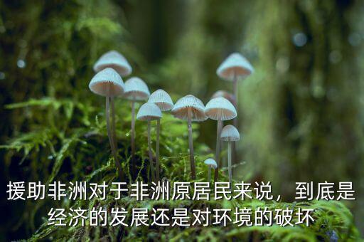 援助非洲對于非洲原居民來說，到底是經(jīng)濟的發(fā)展還是對環(huán)境的破壞