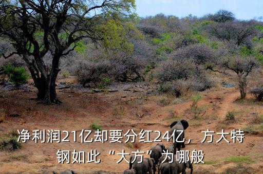 凈利潤21億卻要分紅24億，方大特鋼如此“大方”為哪般