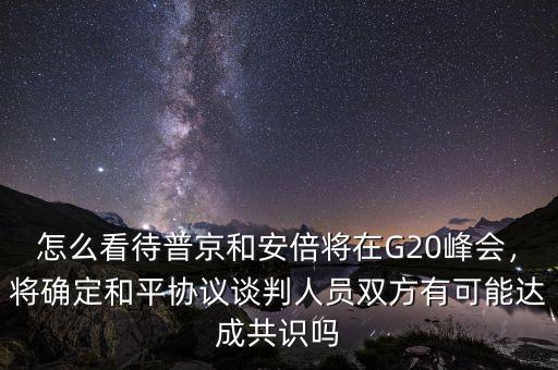 怎么看待普京和安倍將在G20峰會(huì)，將確定和平協(xié)議談判人員雙方有可能達(dá)成共識(shí)嗎