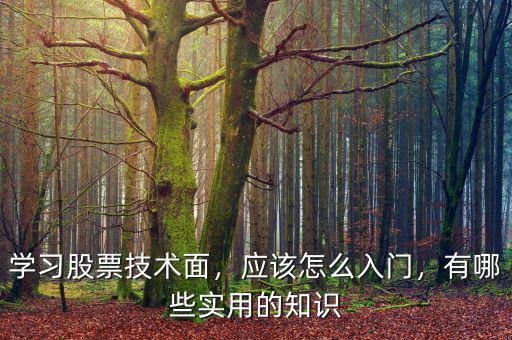 學(xué)習(xí)股票技術(shù)面，應(yīng)該怎么入門，有哪些實(shí)用的知識