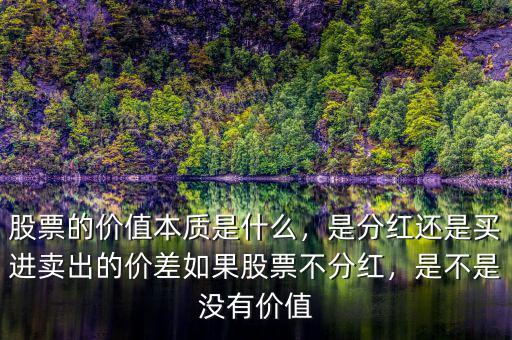股票的價值本質是什么，是分紅還是買進賣出的價差如果股票不分紅，是不是沒有價值
