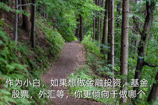 作為小白，如果想做金融投資，基金，股票，外匯等，你更傾向于做哪個(gè)