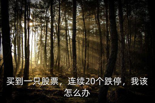 買到一只股票，連續(xù)20個跌停，我該怎么辦