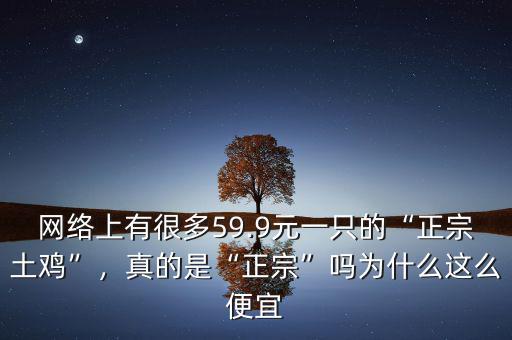 網(wǎng)絡(luò)上有很多59.9元一只的“正宗土雞”，真的是“正宗”嗎為什么這么便宜