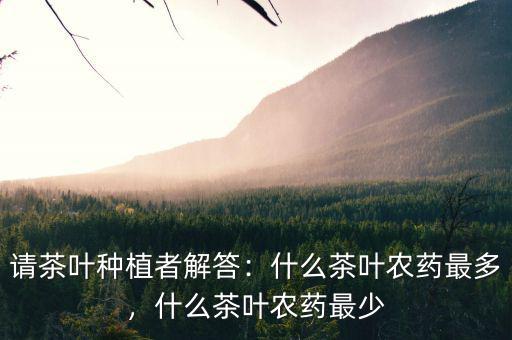 請茶葉種植者解答：什么茶葉農(nóng)藥最多，什么茶葉農(nóng)藥最少