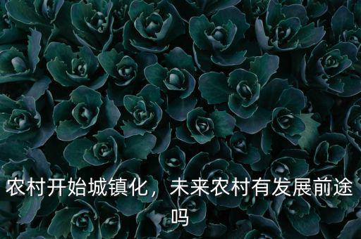農(nóng)村開(kāi)始城鎮(zhèn)化，未來(lái)農(nóng)村有發(fā)展前途嗎