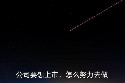 公司要想上市，怎么努力去做