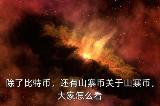 除了比特幣，還有山寨幣關(guān)于山寨幣，大家怎么看