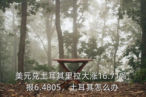 美元兌土耳其里拉大漲16.71%，報(bào)6.4805，土耳其怎么辦