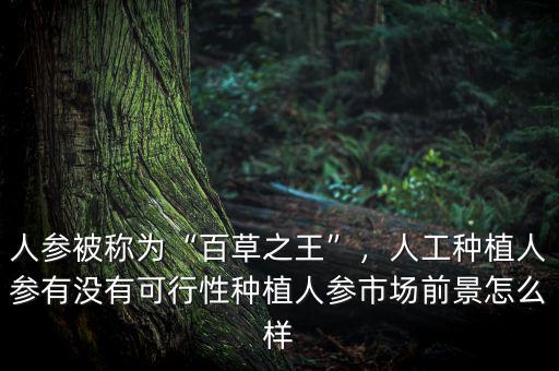 人工種植的人參值多少錢(qián),人工種植人參有沒(méi)有可行性