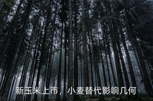 新玉米上市，小麥替代影響幾何