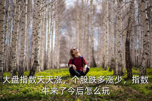 大盤指數(shù)天天漲，個股跌多漲少，指數(shù)牛來了今后怎么玩