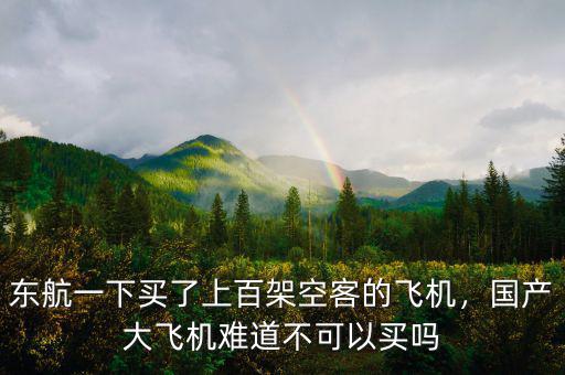 東航一下買了上百架空客的飛機，國產大飛機難道不可以買嗎