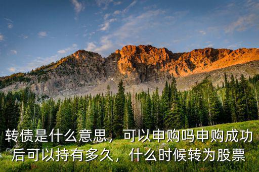 轉(zhuǎn)債是什么意思，可以申購嗎申購成功后可以持有多久，什么時候轉(zhuǎn)為股票