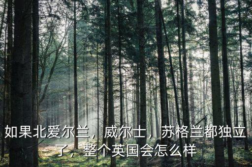 蘇格蘭經(jīng)濟怎么樣,蘇格蘭都獨立了