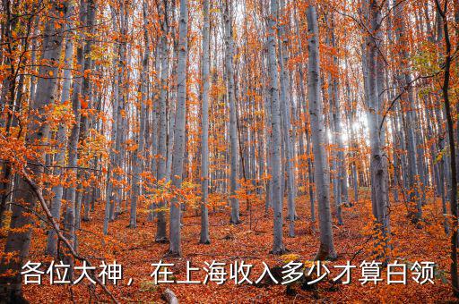 各位大神，在上海收入多少才算白領(lǐng)