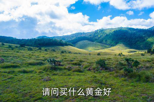 買金飾需要什么文化水平,請(qǐng)問(wèn)買什么黃金好