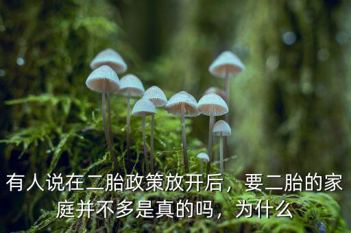 有人說在二胎政策放開后，要二胎的家庭并不多是真的嗎，為什么