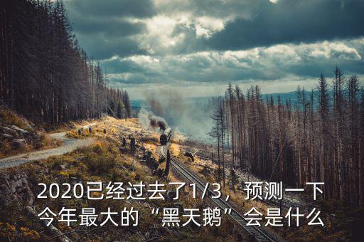 2020已經(jīng)過(guò)去了1/3，預(yù)測(cè)一下今年最大的“黑天鵝”會(huì)是什么