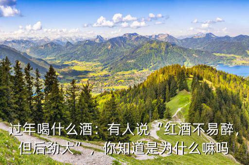 過年喝什么酒：有人說“紅酒不易醉，但后勁大”，你知道是為什么嘛嗎