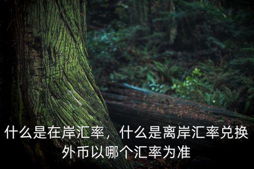 什么是在岸匯率，什么是離岸匯率兌換外幣以哪個匯率為準