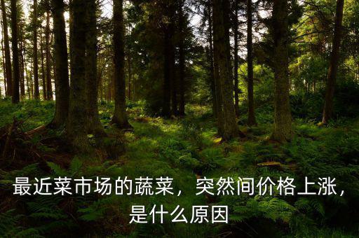 最近菜市場的蔬菜，突然間價格上漲，是什么原因