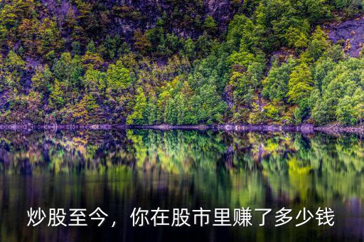 炒股至今，你在股市里賺了多少錢