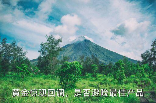 黃金驚現(xiàn)回調(diào)，是否避險(xiǎn)最佳產(chǎn)品
