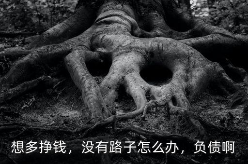 想多掙錢(qián)，沒(méi)有路子怎么辦，負(fù)債啊