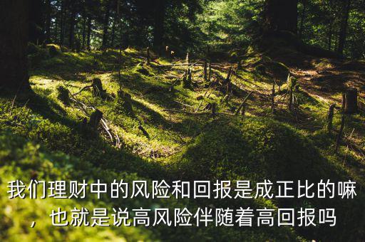 我們理財中的風(fēng)險和回報是成正比的嘛，也就是說高風(fēng)險伴隨著高回報嗎