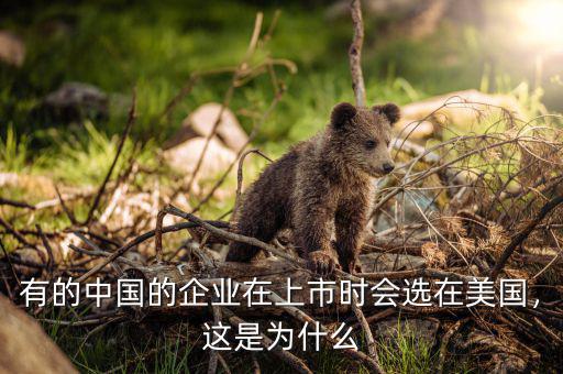 有的中國(guó)的企業(yè)在上市時(shí)會(huì)選在美國(guó)，這是為什么