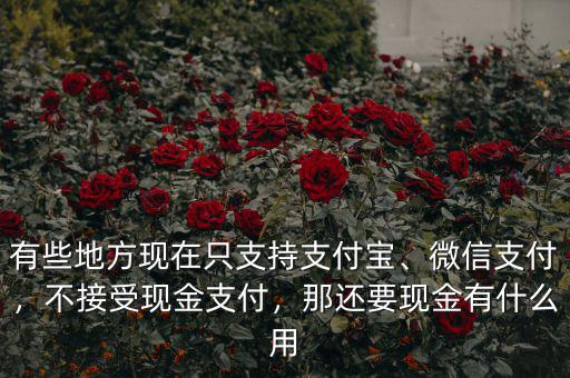 有些地方現(xiàn)在只支持支付寶、微信支付，不接受現(xiàn)金支付，那還要現(xiàn)金有什么用