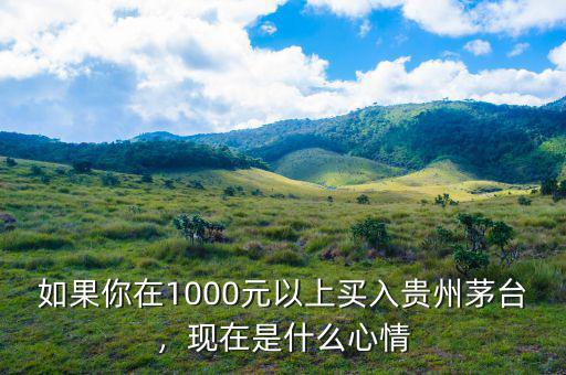 如果你在1000元以上買入貴州茅臺(tái)，現(xiàn)在是什么心情
