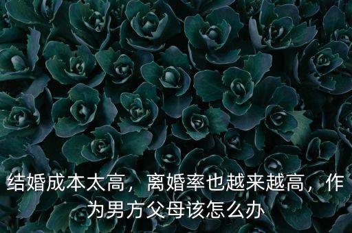 結婚成本高怎么辦,結婚成本太高